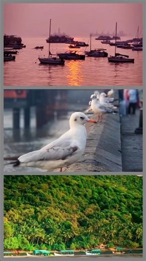 🇮🇳 Proud to be Indian. Happy Republic Day! 🇮🇳 #Shorts #Viral #Trending #YTShorts #Explore