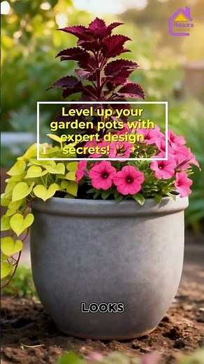 🌿✨ 5 Expert Secrets for Stunning Garden Pot Arrangements Pro Garden Styling Tips
