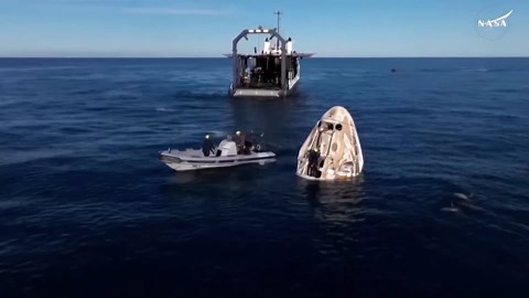 Dolphins swim around SpaceX capsule after splashdown