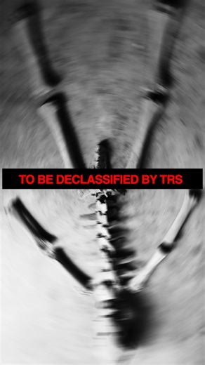 The Resilient Show on Instagram: "🚨 GIANT ALIEN SKELETONS 🚨 Top secret excavation of 400-year-old giant skeletons with elongated skulls! Evidence and photos to be released for the first time to the public exclusively on The Resilient Show tomorrow. "I was the guy they sent in to retrieve what 'didn't exist.'" TW Mock PART 2 drops TOMORROW 👁️ 👽 🛸 #TWMockPart2 #GiantSkeletons #AncientAliens #TopSecret #GiantsAreReal #ElongatedSkulls #GovernmentCoverUp #ForbiddenArchaeology #UFODisclosure #The