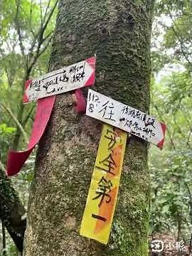 古道草原4__1140713, 風擎步道-磺嘴山登山口-後湖底溪古道-番王厝-內雙溪古道-2號碉堡