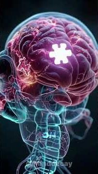 Big Forehead: A Sign of Higher Intelligence?