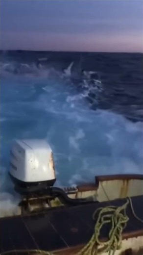 Boat Crew Films TERRIFYING Siren Pack Chasing Them — Real Recording!