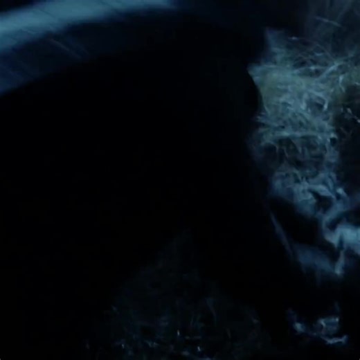 Meat's Back on the Menu - Lord of the Rings Scene