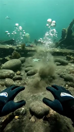 Discover the Secrets of Underwater Adventures