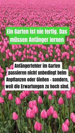 A garden is never finished. That's something beginners need to learn
