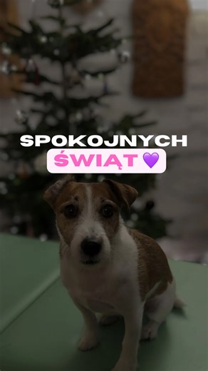 Paulina - Fizjoterapia | Uroginekologia | Poród📍Kórnik on Instagram: "W te Święta i w całym przyszłym roku życzę Wam dużo spokoju, odpoczynku, zdrowia. Spokojnych ciąż i szybkich porodów! Zdrowych barków, wolności od rwy kulszowej i migren! 💜 #fizjoterapia #fizjo #osteopatia"