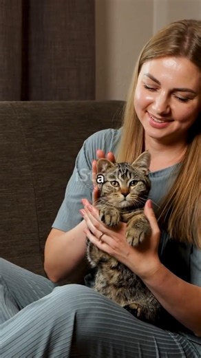 Do PETS Really Mourn Their Lost Friends?