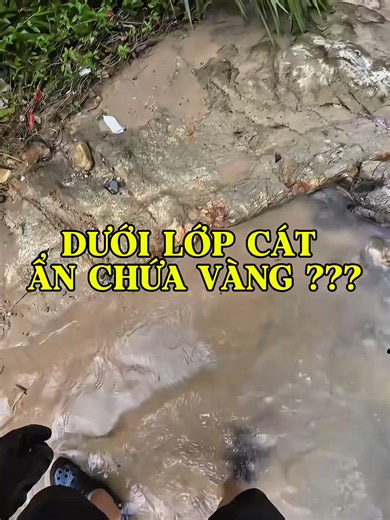Đào Vàng P3 #gold #sandgold #goldpanningtray #daovang