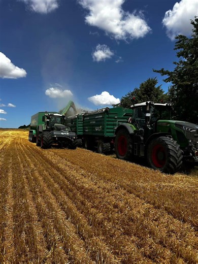 8 Hintergrundbilder ￼#landwirtschaft
