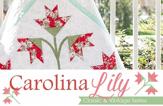 Classic and Vintage Series: Carolina Lily