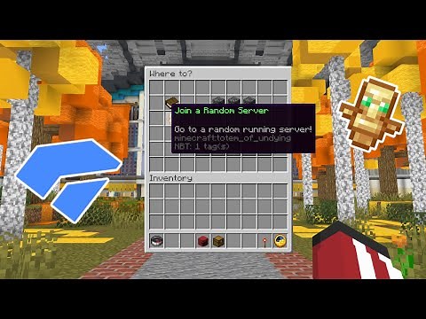 Joining random minecraft servers.... (PART 2)