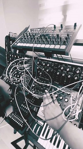 Moog Labyrinth