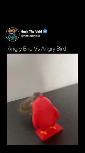 Hack The Void on Instagram: "This humorous video, titled "Angry Bird Vs Angry Bird," captures a literal standoff between a small, real-life fledgling and a plastic figurine of the character "Red" from the popular Angry Birds franchise. The real bird is seen with its beak wide open, chirping loudly and aggressively at the stationary toy as if it were a rival or a threat. The comedy of the clip stems from the bird's high-energy, agitated behavior contrasted against the toy's frozen, stoic expressi