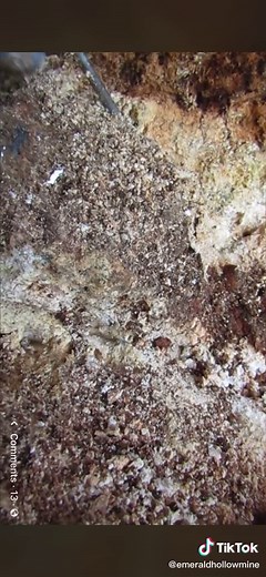 Exploring Emeralds at Emerald Hollow Mine in North Carolina
