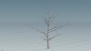 优化了树生长，纯vex和for循环做的，理论上可以添加很多级分支