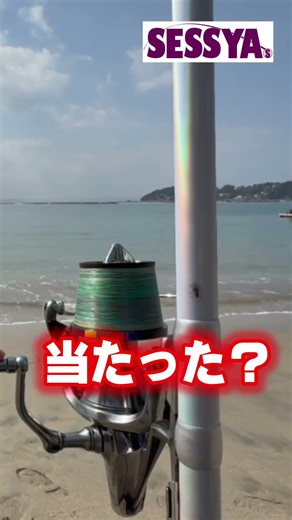 【キス釣り】釣れても釣れなくても楽しい！厳冬期の砂浜で投げ釣りリハビリ