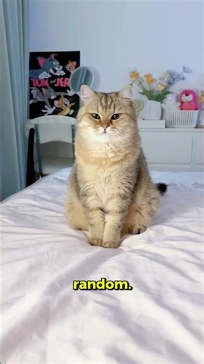 Most cat owners don’t know