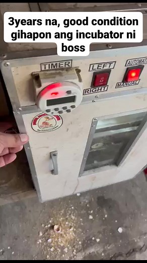 1.5K views · 14 reactions | #heritage #breeder #hatching #hatchery #setter #incubator #incubation #egg #automatic | Philip Saban | Facebook