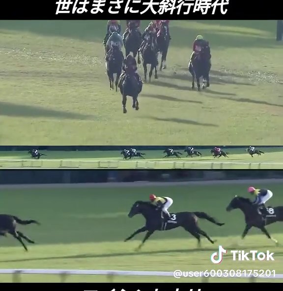 競馬レースの結果と予想