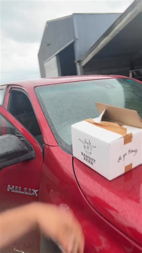 Stout for lunch today! 😆 #BanditBeer | The Sheep Game