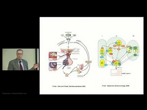 Hypothalamic Hamartoma: The Syndrome of Hypothalamic Hamartoma by John F. Kerrigan