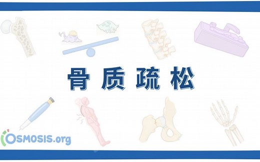 【Osmosis】骨质疏松 Osteoporosis（中英字幕）