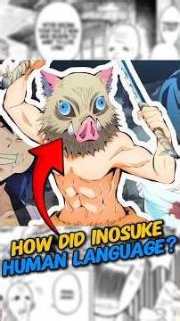 How Did Inosuke Learn to Speak Human Language? #demonslayer #infinitycastle #hashira
