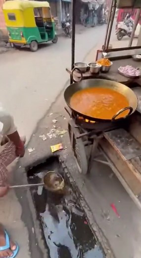 Spicy Indian Street Food Delights & Tandoor Flavors