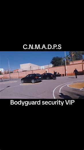 Bodyguard security VIP#100k