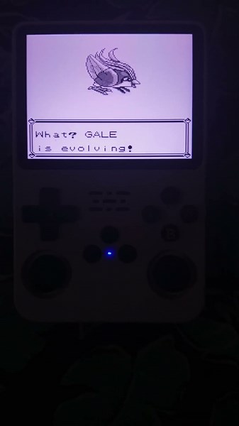 pidgeotto evoluindo #pokemon #pokemonred #r36s #pidgeot #pidegeotto #pokémonevolutions