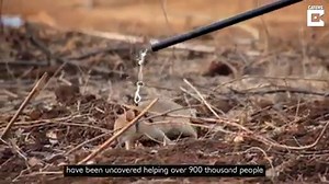 37K views · 35 reactions | These superhero rats are trained to detect deadly landmines!  | Caters News | Facebook
