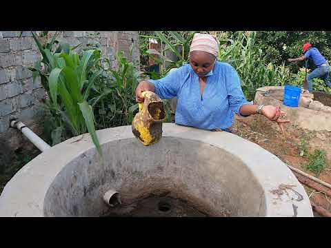 How we make Bio Gas in the village/clean with me our cows shed