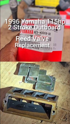 Diy- Reed Valve Replacement | 2 stroke | 1996 Yamaha 115hp | outboard