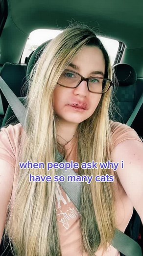 Finding Solace: Embracing the Companionship of Cats