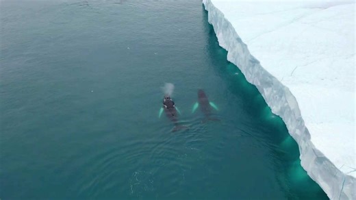 Above the Ice: Greenland’s Glaciers in Motion...