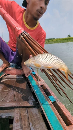 Amazing Boat Fishing in Village River | #shorts #fishing #fishingvideo #villagelife #boatlife #yt