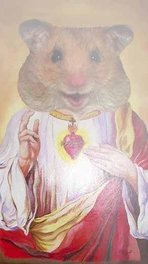 Hamster Explota en Directo: Un Clip Sorprendente