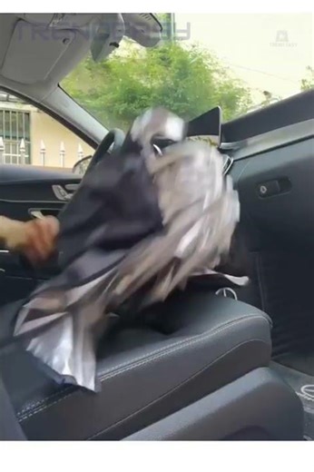 Umbrella-Style Windshield Sunshade in 5 Seconds!