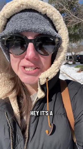 Emily | Anti-Social Studies (@antisocialstudies)’s videos with original sound - Emily | Anti-Social Studies