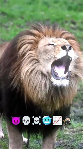 Attitude Dialogue!! 😈🔥☠️🦁💯#shortsattitude dialogue#shorts #attitude_whatsapp_status #viralshorts