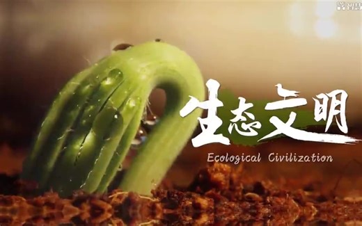 【南开大学公开课】全88课《国家精品：生态文明系列课程上集》生态建设，当代责任！