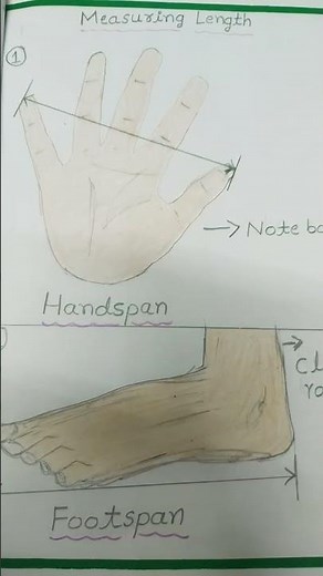 Measuring length. With handspan,footman and cubit🖐🦶✋