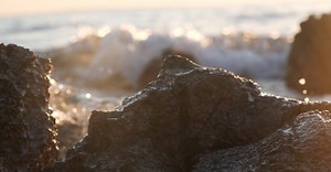 Video by Mario Krimer on Pexels