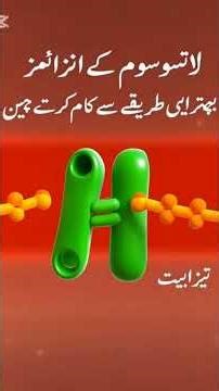 Lysosomes – Suicide Bags of the Cell | Structure & Function