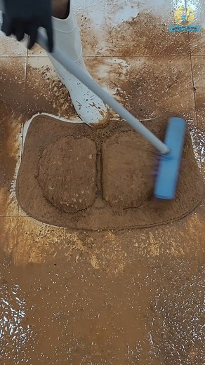 Magnus Rug Cleaning on Instagram: "CLEANING SATISFYING DIRTY SHAGGY CARPET"