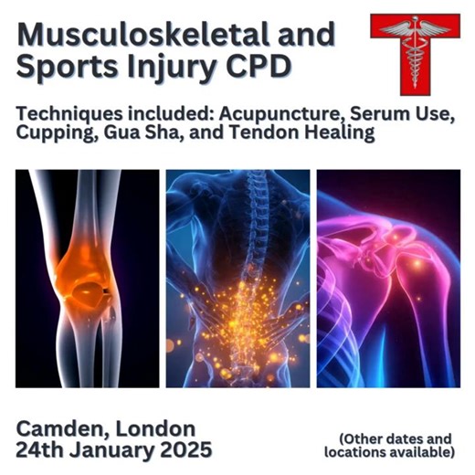 Sports issues, especially those which include tendons can be slow to heal, especially when tension, inflammation and poor circulation keep the problem going. This course changes that. Therapists learn focused MSK techniques that target stubborn tendon pain, reduce irritation and restore healthier movement. The techniques taught work with the body’s repair systems, encourage better blood flow and help tissues recover in a more complete and balanced way. The information given in the course helps y