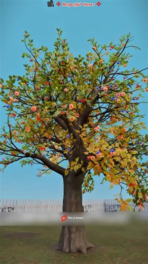 🌳 One Tree Grows 45 Different Fruits! Nature’s Greatest Miracle 🍒✨ #Shorts