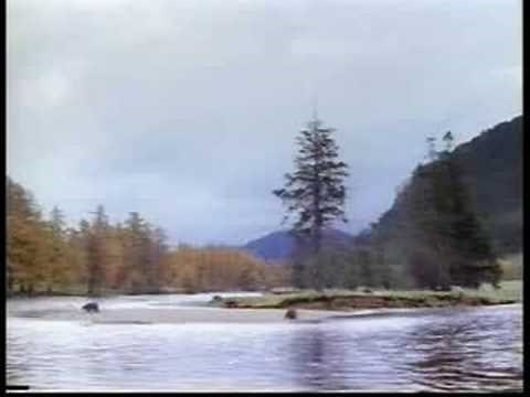 John West Red Salmon Commercial- Regular, Fast, and Slow!!!
