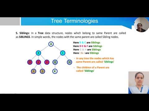 #Data Structure #Trees
